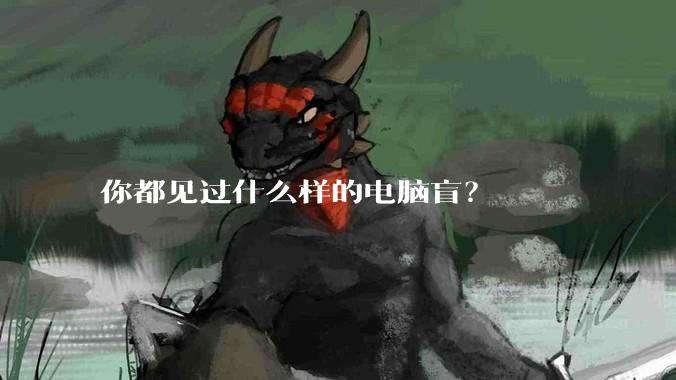你都见过什么样的电脑盲？