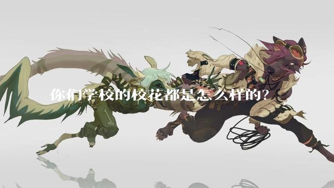 你们学校的校花都是怎么样的？