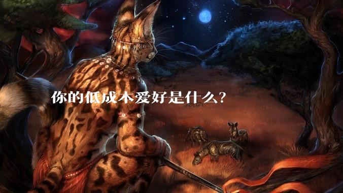 你的低成本爱好是什么？