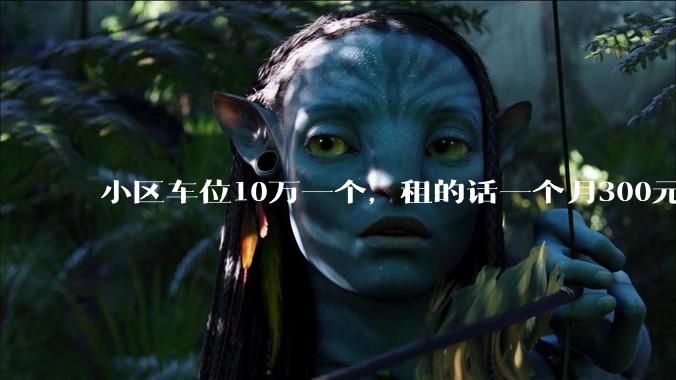 小区车位10万一个，租的话一个月300元，还有必要买车位吗？