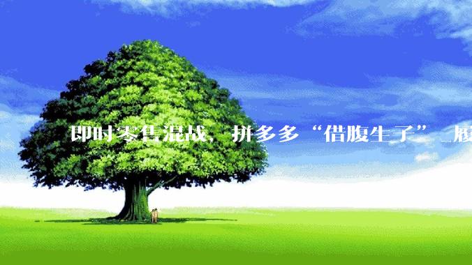 即时零售混战，拼多多“借腹生子”_履约_竞争_用户