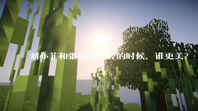刘亦菲和张柏芝年轻的时候，谁更美？
