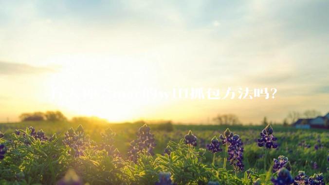 有大神会mac的wifi抓包方法吗？