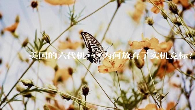 美国的六代机***为何放弃了实机竞标？